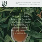 plantmedicinepeople.com