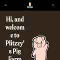 plitzzy.com