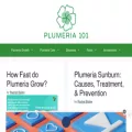 plumeria101.com
