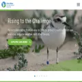 pointblue.org pointblue.org