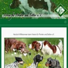 pointer-und-setter.de