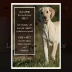 pointing-lab.com