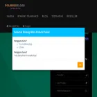 polarispulsa.com