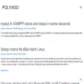 polygonexpress.com polygonexpress.com