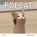 popcat.click