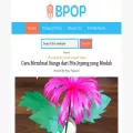 portalbpop.com portalbpop.com