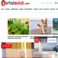 portalsulut.pikiran-rakyat.com