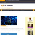 postparaprogramadores.com