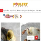 poultryindonesia.com