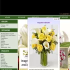 poweredbyadonkey.com