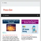 pracagov.com
