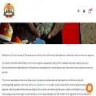 precious-cactus.com precious-cactus.com