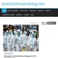 precisionhorsetraining.com