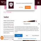 pricelessgemstone.com pricelessgemstone.com