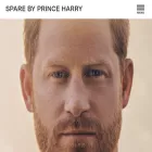 princeharrymemoir.com