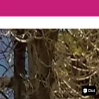 privilegestores.com
