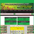 prizebondguru.net prizebondguru.net