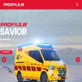 profilevehicles.com