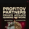 profitov.partners