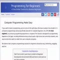 programming4beginners.com