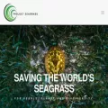 projectseagrass.org