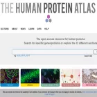 proteinatlas.org