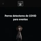 prototipomexico.com