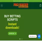 prowagersystem.com