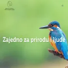 pticesrbije.rs