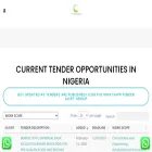 publicprocurement.ng publicprocurement.ng