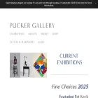 puckergallery.com puckergallery.com