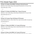 pucmodelpaper2021.in