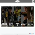 punch-gmbh.de
