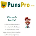 punspro.com