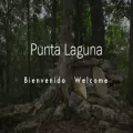 puntalagunamx.com puntalagunamx.com