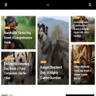 puppadogs.com puppadogs.com