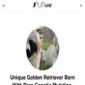 pupvine.com