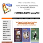 purebredpigeon.com purebredpigeon.com