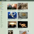 pxtx.com pxtx.com