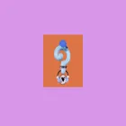 qstn.us