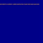 qualityautoservicesnyc.com