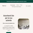 queesy.com queesy.com