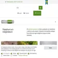 rabattkant-graeskant.se rabattkant-graeskant.se