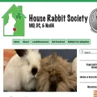 rabbitsinthehouse.org