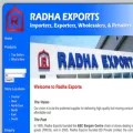 radhaexports.com