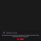 rafaeldejongh.com rafaeldejongh.com