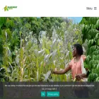 rainforestsaver.org rainforestsaver.org