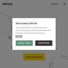 rapyd.ai rapyd.ai