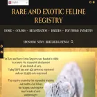 rareexoticfelineregistry.com rareexoticfelineregistry.com