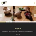 ravintolapannu.fi ravintolapannu.fi
